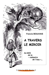 A travers le miroir