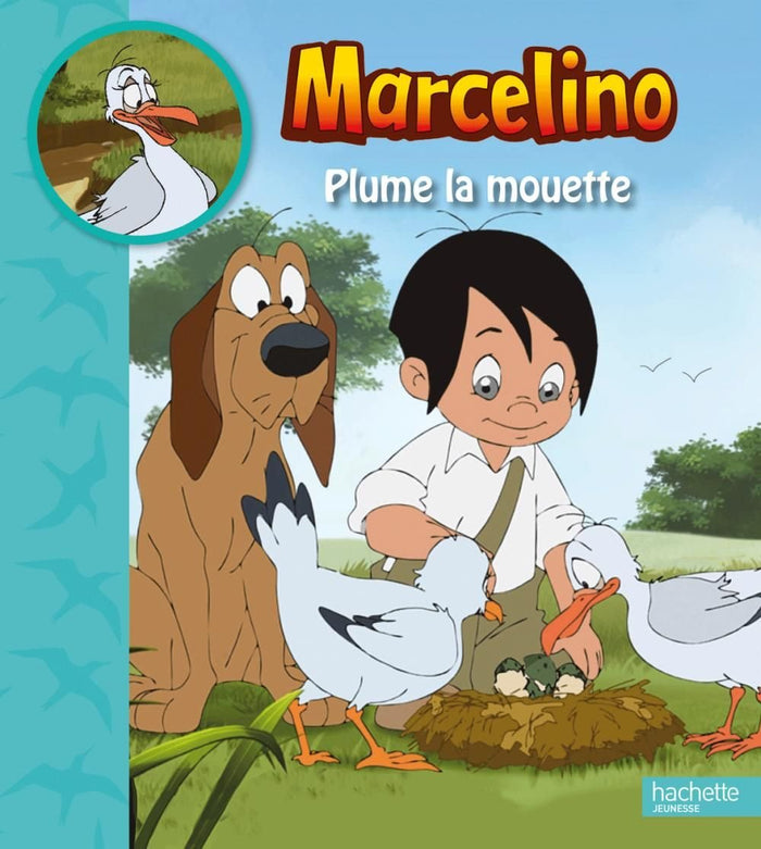 Plume, la mouette