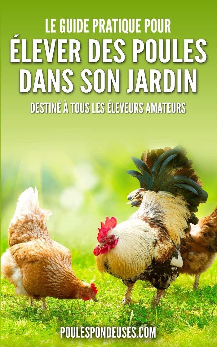 Le guide pratique pour élever des poules dans son jardin