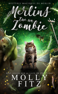 Merlin tue un zombie