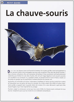 La chauve-souris