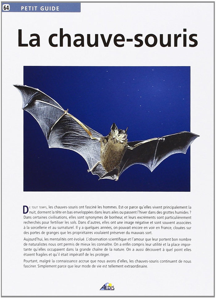 La chauve-souris