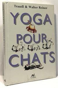 Yoga pour chats