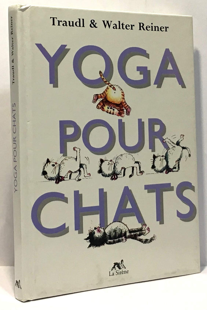 Yoga pour chats