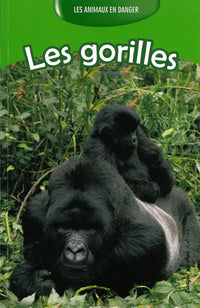 Gorilles