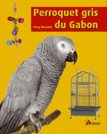 Perroquet gris du Gabon