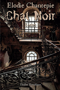 Chat noir