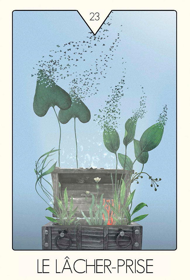 Coffret Réalise ton aspiration - Des clés pour y parvenir