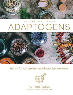 Adaptogens: Herbs for Longevity and Everyday Wellness