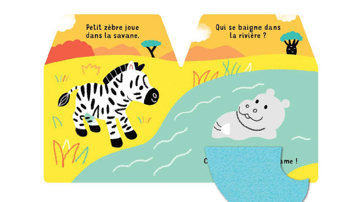 Cache-cache petit zèbre