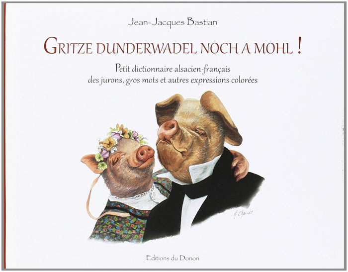 Dictionnaire alsacien-français des jurons, gros mots et autres expressions colorées.