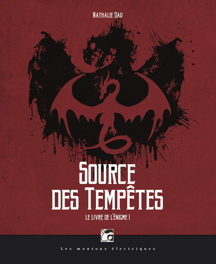 Le livre de l'énigme, tome 1: Source des tempêtes