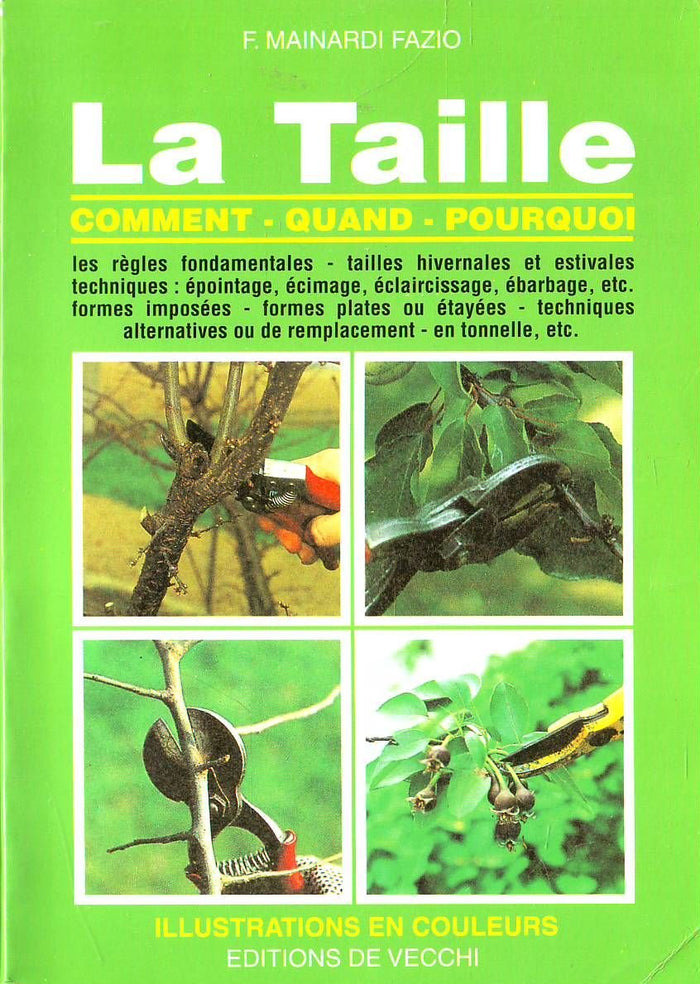 La taille
