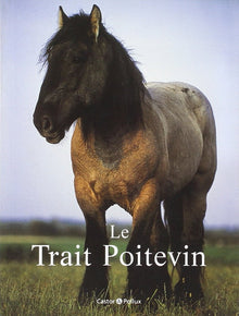 Le trait poitevin