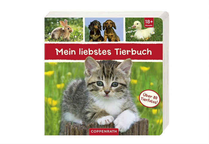 Mein liebstes Tierbuch