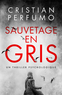Sauvetage en gris: Un polar en Patagonie