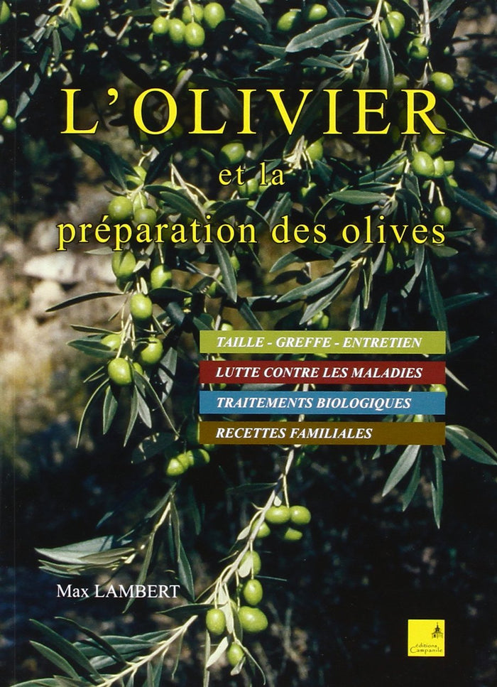 Olivier et la préparation des olives