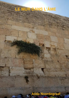 Le mur dans l'âme