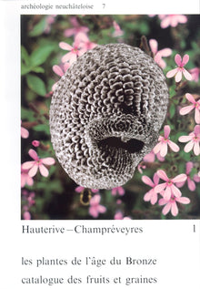 Hauterive-Champréveyres 1