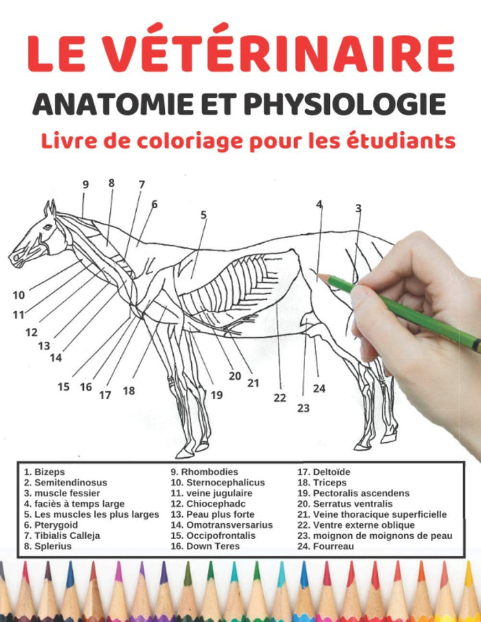 Le vétérinaire Anatomie et physiologie