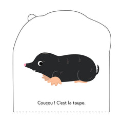 Qui se cache (mini) : Les animaux du jardin