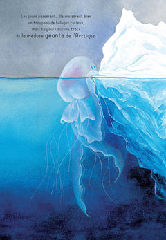 La méduse géante de l'Arctique