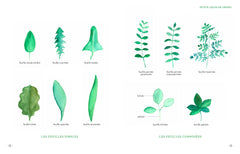 Grimoire d'une cueilleuse