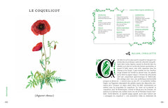 Grimoire d'une cueilleuse