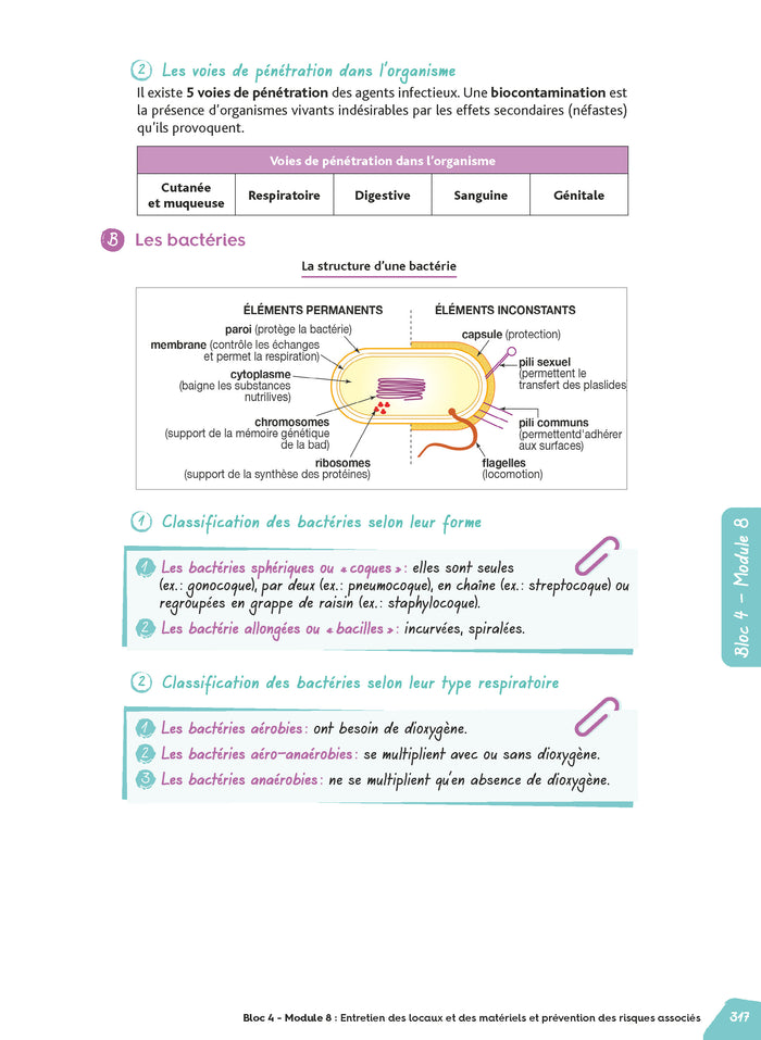 Réussir le diplôme d'État Auxiliaire de puériculture