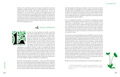 Grimoire d'une cueilleuse