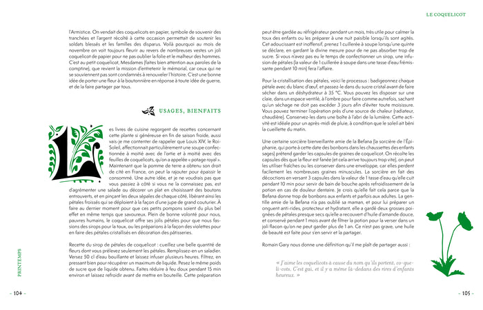 Grimoire d'une cueilleuse