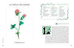 Grimoire d'une cueilleuse