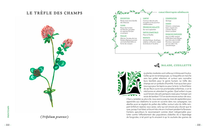 Grimoire d'une cueilleuse