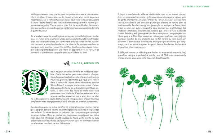 Grimoire d'une cueilleuse