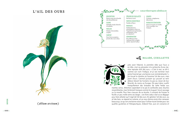 Grimoire d'une cueilleuse