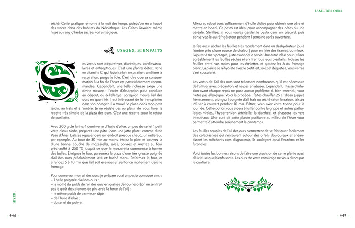 Grimoire d'une cueilleuse