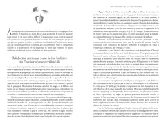 Jardin secret d'une sorcière