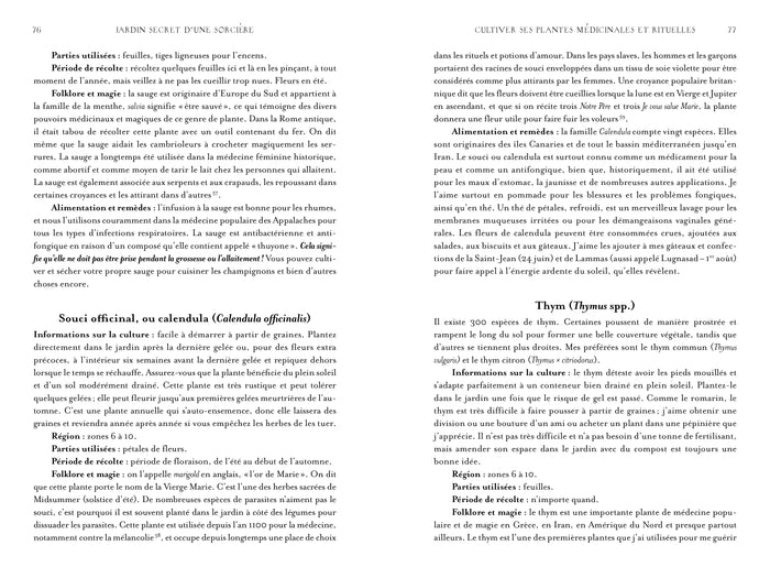 Jardin secret d'une sorcière