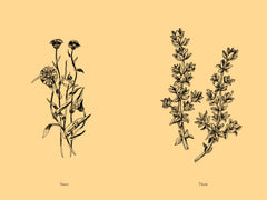 Jardin secret d'une sorcière