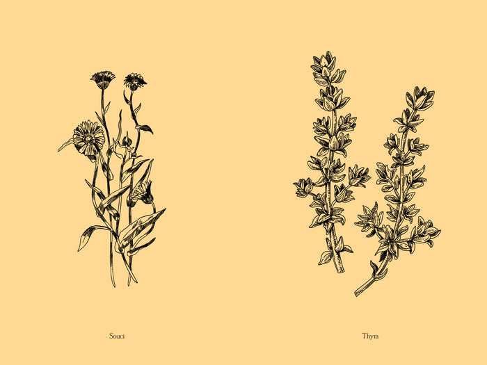 Jardin secret d'une sorcière