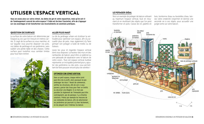 Tomates et basilic au 5ème étage