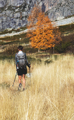 Arbres et arbustes de montagne