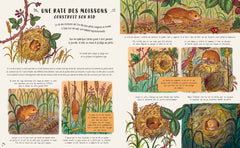 Les secrets de la nature... tout près de toi