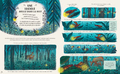 Les secrets de la nature... tout près de toi