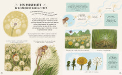 Les secrets de la nature... tout près de toi