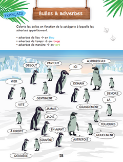 Mon bloc de jeux et d'activités pour le CM2 - Une SAISON AU ZOO