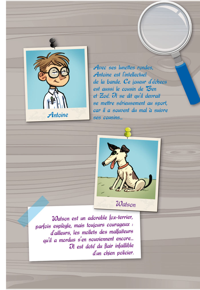 Le Mystère du château