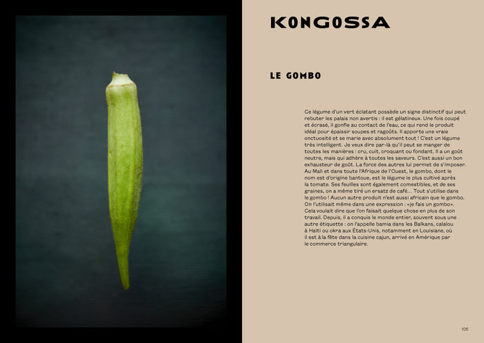 Les Cuisines d'Afrique noire