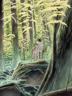 L'appel de la forêt