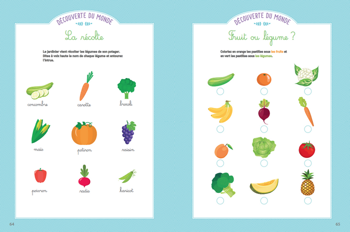 Mon grand cahier Montessori d'activités pour toute l'année